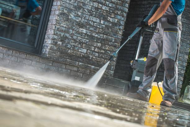 Best Fleet Vehicle Washing  in Las Quintas Fronterizas, TX