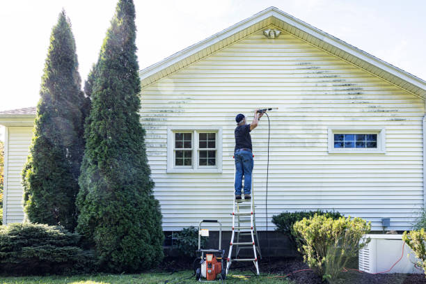 Best Graffiti Removal  in Las Quintas Fronterizas, TX